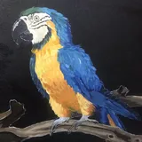 user-avatar