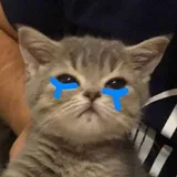 user-avatar