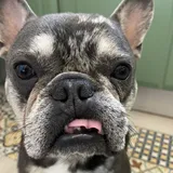 user-avatar