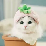user-avatar